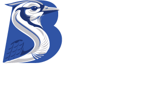 Sketch Blue, LLC Logo